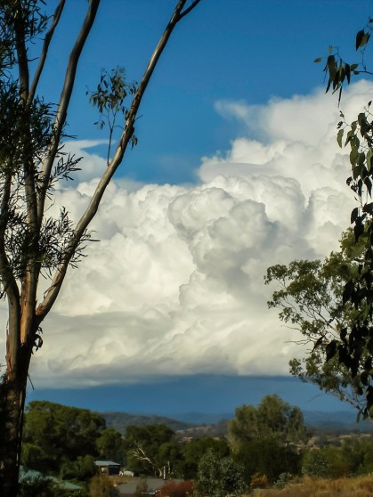 Towering cumulus cloud.