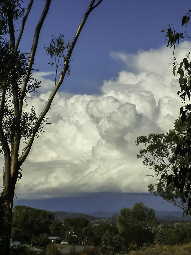 Towering cumulus cloud.