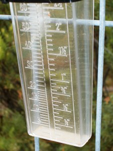 Photo of dry wedge-type rain gauge