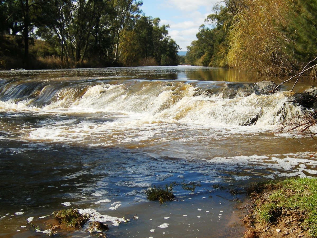 Photo of Namoi River in high flow