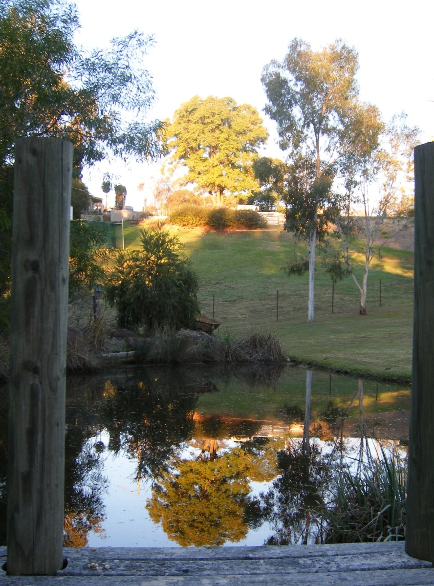 Photo of a pond at sunset