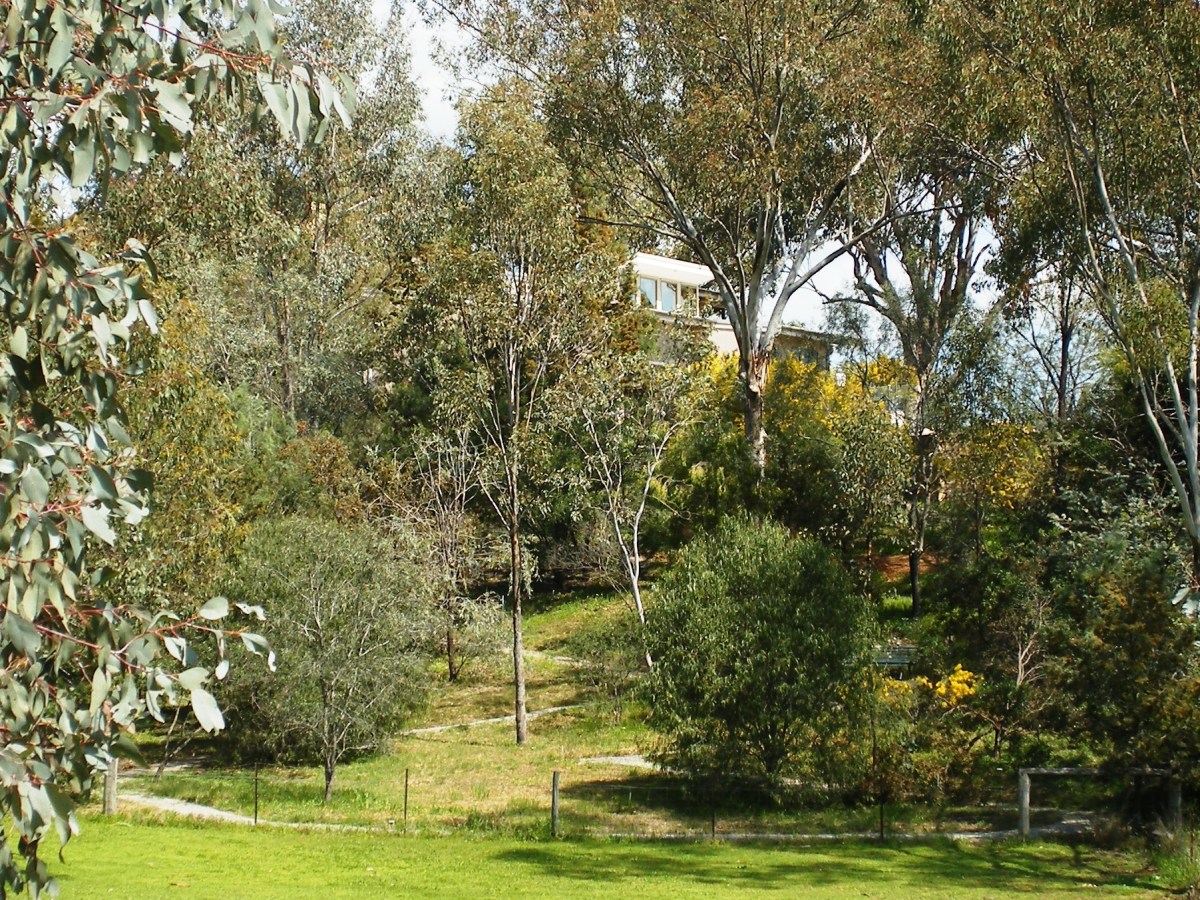 Photo of the garden of local native species