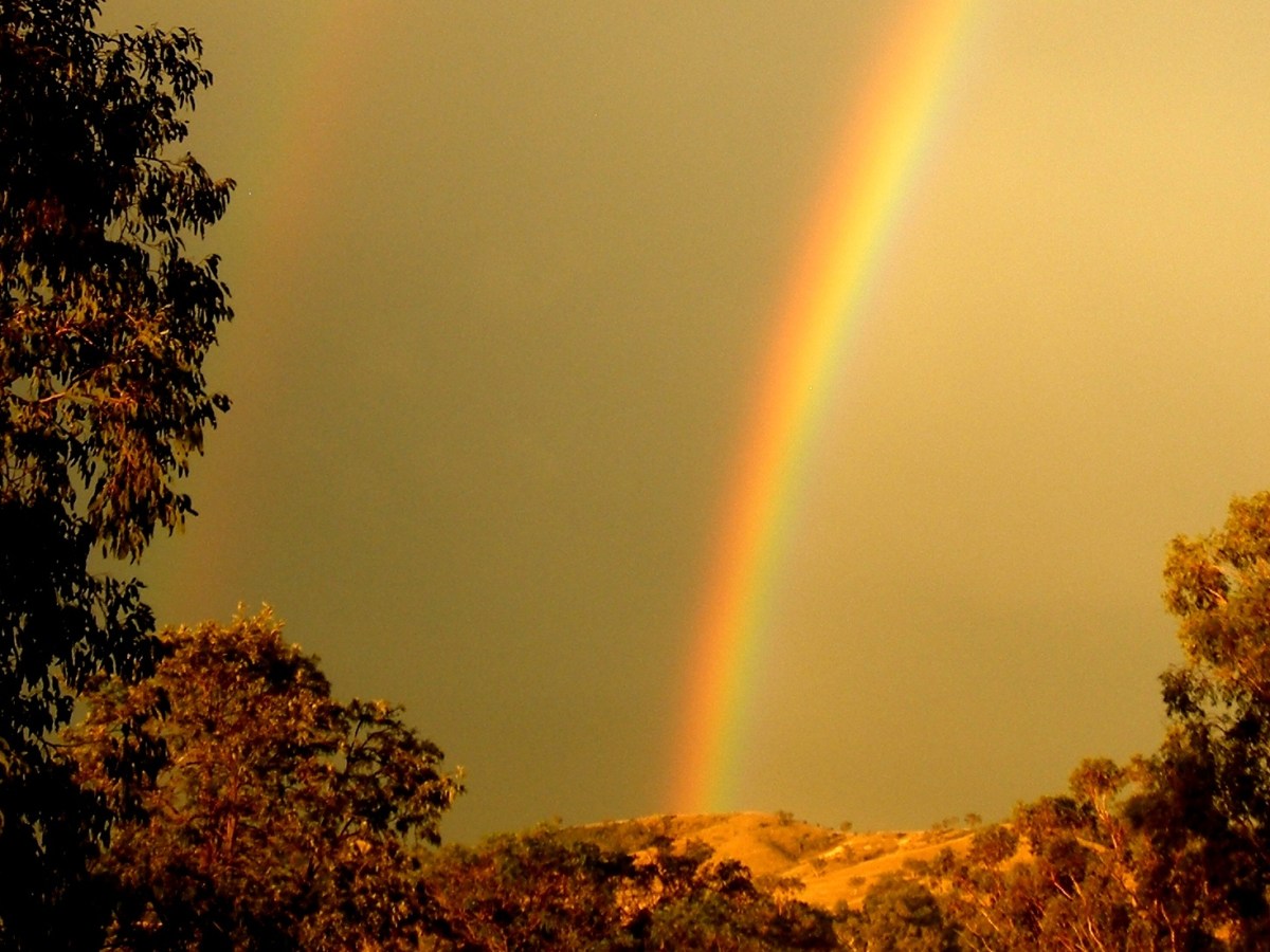 Rainbow