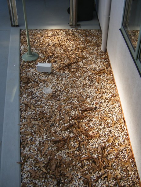 Sunlight that has been reflected towards the house.