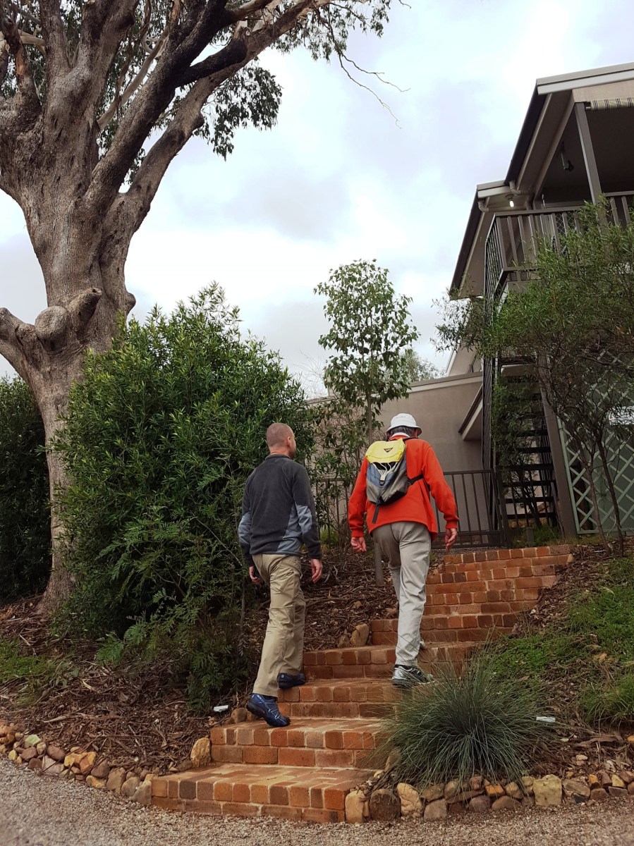 Brick steps in garden