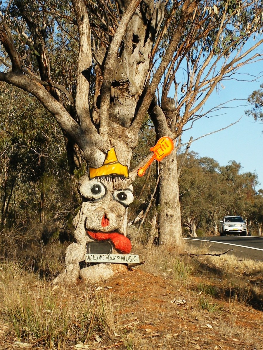 Tree with a face painted on it.
