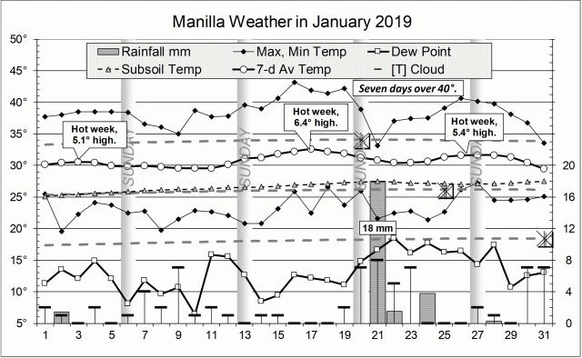 Graphical log for January 2019